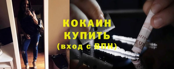 ПСИЛОЦИБИНОВЫЕ ГРИБЫ Абаза