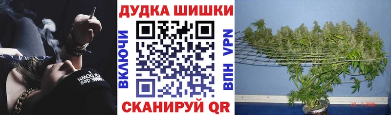 Шишки марихуана SATIVA & INDICA  наркотики  Зубцов 